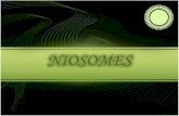 Niosomes lecture 7