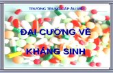 Dai cuong khang sinh