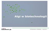 Algi w biotechnologii