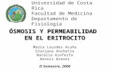 Universidad de Costa Rica Facultad de Medicina Departamento de Fisiología ÓSMOSIS Y PERMEABILIDAD EN EL ERITROCITO María Lourdes Acuña Gloriana Anchetta.