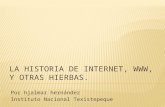 historia de internet, www, y otras hierbas