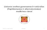 Lietuvos sveikatos rūmų -LSNR- pristatymas
