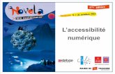 Accessibilité - Nouvelles tendances du web public - La Novela 2012