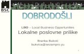 Branka Bukvić - Lokalne poslovne prilike
