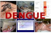 Dengue 26 Abril Hsr 2013