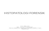 Histopatologi Forensik Ft