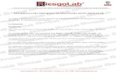 Programa de Ergonomia Integrado de Riesgolab 2012