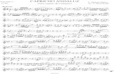 Capricho Andaluz (Cuarteto de Clarinetes)
