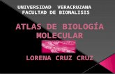 ATLAS DE BIOLOGÍA MOLECULAR