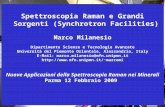Raman e Mineralogia, Parma, 12 febbraio 2009 Spettroscopia Raman e Grandi Sorgenti (Synchrotron Facilities) Marco Milanesio Dipartimento Scienze e Tecnologie.