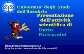 Presentazione dellattività scientifica di Dario.Bressanini@uninsubria.it  Dario Bressanini Universita degli.