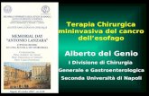 Alberto del Genio I Divisione di Chirurgia Generale e Gastroenterologica Seconda Università di Napoli Terapia Chirurgica mininvasiva del cancro dellesofago.