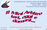 Materiale di proprietà: Federazione Italiana Pallacanestro, Comitato Italiano Arbitri Revisione atti già in possesso 1 FEDERAZIONE ITALIANA PALLACANESTRO.