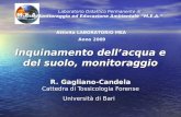 Inquinamento dellacqua e del suolo, monitoraggio R. Gagliano-Candela Inquinamento dellacqua e del suolo, monitoraggio R. Gagliano-Candela Cattedra di Tossicologia.