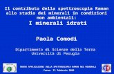 NUOVE APPLICAZIONI DELLA SPETTROSCOPIA RAMAN NEI MINERALI Parma, 12 febbraio 2009 Il contributo della spettroscopia Raman allo studio dei minerali in condizioni.