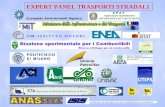 European Environment Agency CNR - I S T I T U T O M O T O R I Unione Petrolifera EXPERT PANEL TRASPORTI STRADALI.