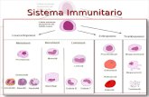 Sistema Immunitario 1. dott. Paolo Giordo « Strappare la Medicina ai potenti meccanismi della sua ingegnerizzazione e al mercantilismo che le è diventato.