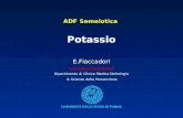 ADF Semeiotica Potassio E.Fiaccadori enrico.fiaccadori@unipr.it Dipartimento di Clinica Medica Nefrologia & Scienze della Prevenzione.
