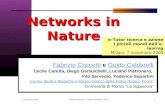 7 novembre 2003 Fabrizio Coccetti - Guido Caldarelli - et al.1 Networks in Nature Fabrizio CoccettiFabrizio Coccetti e Guido CaldarelliGuido Caldarelli.