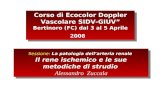 Corso di Ecocolor Doppler Vascolare SIDV-GIUV Bertinoro (FC) dal 3 al 5 Aprile 2008 Sessione: La patologia dellarteria renale Il rene ischemico e le sue.