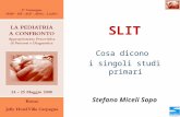 SLIT Cosa dicono i singoli studi primari Stefano Miceli Sopo.