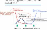 Le basi genetiche delle malattie nascitapubertàetà adulta Anomalie cromosomiche Malattie multifattoriali Malattie monogeniche Analisi del cariotipo: Numero.