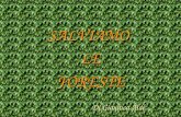 SALVIAMOLE FORESTE FORESTE Di Gianluca Aldé Di Gianluca Aldé
