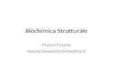 Biochimica Strutturale Mauro Fasano mauro.fasano@uninsubria.it.