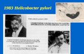 1983 Helicobacter pylori. Helicobacter pylori PREVALENZA DELLINFEZIONE DA H PYLORI 26-76 % 70-90% 85% 21% 24% 43% 60% 18% 0-70%