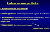 Lesione nervosa periferica Classificazione di Seddon: Neuroaprassia: perdita temporanea della capacità di conduzione Assonotmesi: interruzione anatomica.