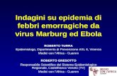 Indagini su epidemia di febbri emorragiche da virus Marburg ed Ebola ROBERTO TURRA Epidemiologo, Dipartimento di Prevenzione ASL 6, Vicenza Medici con.
