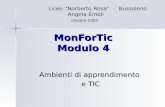 MonForTic Modulo 4 Ambienti di apprendimento e TIC e TIC Liceo Norberto Rosa - Bussoleno Angela Emoli ottobre 2003.