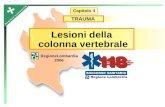 Lesioni della colonna vertebrale RegioneLombardia 2006 Capitolo 4 TRAUMA.