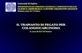 Università di Padova DIPARTIMENTO DI CHIRURGIA GENERALE E TRAPIANTI DORGANO CLINICA CHIRURGICA I-CENTRO TRAPIANTO EPATICO Direttore: prof. D.F. DAmico.
