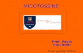 MICOTOSSINE Prof. Paolo POLIDORI Università degli Studi di Camerino.