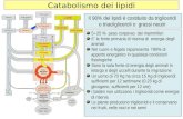 1 Catabolismo dei lipidi Il 90% dei lipidi è costituito da trigliceridi o triacilgliceroli o grassi neutri 5÷25 % peso corporeo dei mammiferi E la fonte.