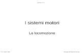 I sistemi motori La locomozione © G. Cibelli, 2006Fisiologia del Sistema Nervoso Lezione n.11.1.