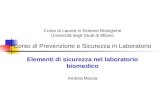Corso di Laurea in Scienze Biologiche Università degli Studi di Milano Corso di Prevenzione e Sicurezza in Laboratorio Elementi di sicurezza nel laboratorio.