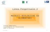 Linea Progettuale 3 MATRICI BIOLOGICHE ED ALIMENTARI Pietro Gabbrielli Dipartimento di Prevenzione AUSL 3 Pistoia 2/12/20111.