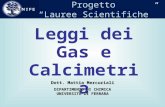Leggi dei Gas e Calcimetria Progetto Lauree Scientifiche Dott. Mattia Mercuriali DIPARTIMENTO DI CHIMICA UNIVERSITÀ DI FERRARA.