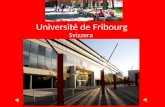 Université de Fribourg Svizzera Città bilingue: 70% francese - 30% tedesco 34 km da Berna – 74 km da Losanna – 138 km da Ginevra (Aeroporto)