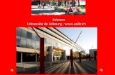 Svizzera Université de Fribourg :  Città bilingue: 70% francese - 30% tedesco 34 km da Berna – 74 km da Losanna – 138 km da Ginevra (Aeroporto)