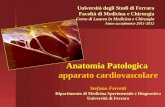 Università degli Studi di Ferrara Facoltà di Medicina e Chirurgia Corso di Laurea in Medicina e Chirurgia Anno accademico 2011-2012 Anatomia Patologica.