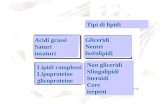 Tipi di lipidi Acidi grassi Saturi insaturi Gliceridi Neutri fosfolipidi Lipidi complessi Lipoproteine glicoproteine Non gliceridi Sfingolipidi Steroidi.