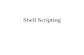 Shell Scripting. Shell e comandi La shell e' un programma che interpreta i comandi dell'utente. I comandi possono essere dati da terminale, oppure contenuti.