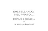 SALTELLANDO NEL PRATO… DIDALAB 1 2010/2011 Di Le semi-professionali.