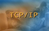 TCP/IP. Sommario Introduzione al TCP/IP Introduzione al TCP/IP Indirizzi IP Indirizzi IP Subnet Mask Subnet Mask Frame IP Frame IP Meccanismi di comunicazione.