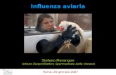 Stefano Marangon Istituto Zooprofilattico Sperimentale delle Venezie Roma, 26 gennaio 2007 Influenza aviaria.