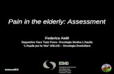 Pain in the elderly: Assessment Federica Aielli Supportive Care Task Force- Oncologia Medica LAquila LAquila per la Vita ONLUS – Oncologia Domiciliare.