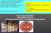 CANCRO & PRECANCRO ORALE : CORSO MULTIDISCIPLINARE DI PATOLOGIA ORALE: NEOPLASIE DEI TESSUTI MOLLI E DURI DEL CAVO ORALE Roma, 2-4 dicembre 2004 G. G.